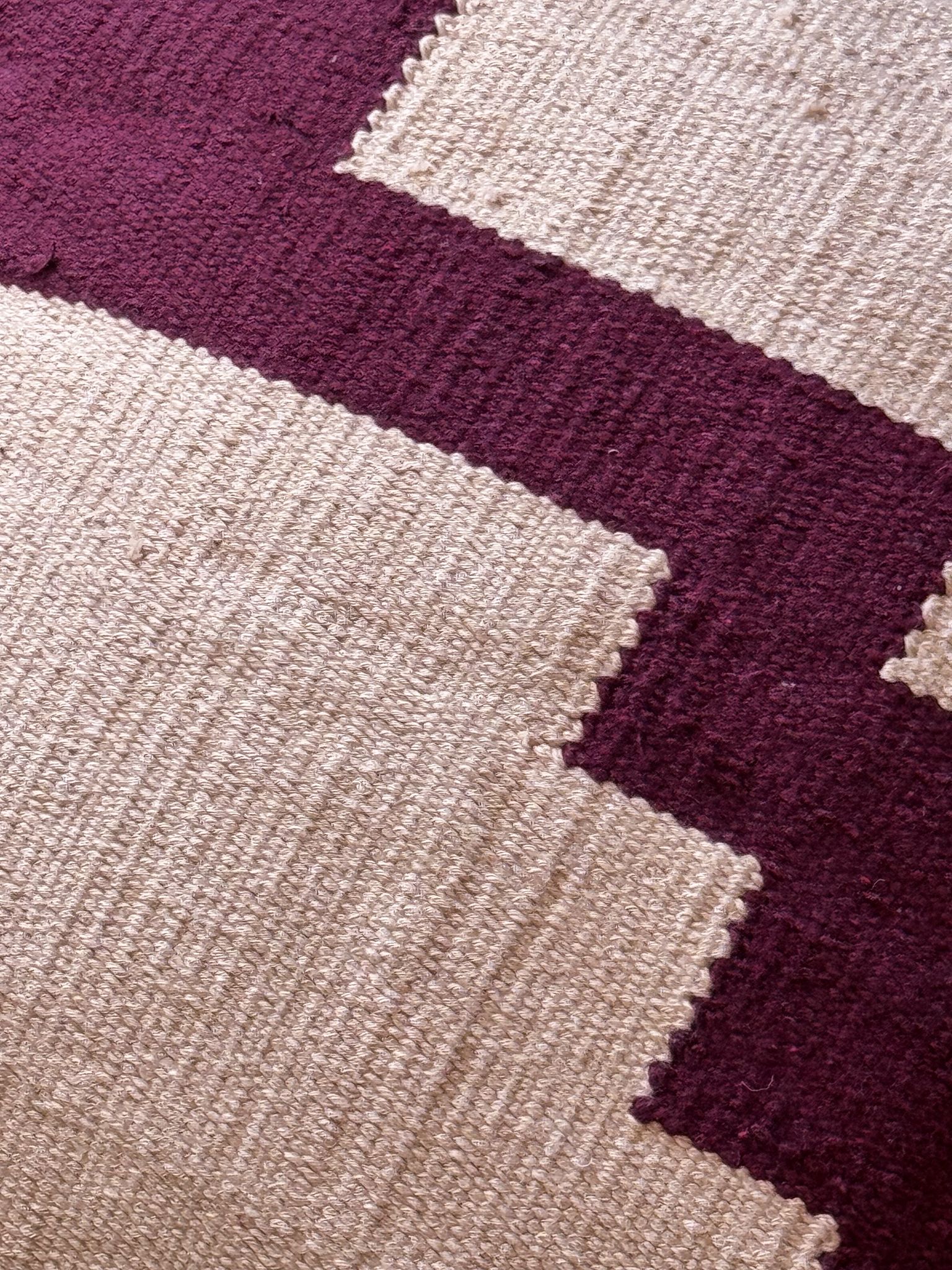 Close-up of Roma with purple and beige colors